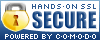 Trust logo design including original artwork for the lock / shield