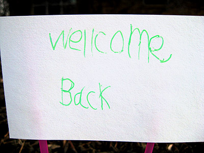 wellcome-back Make that a Wellcome Back sign. Home sweet home.