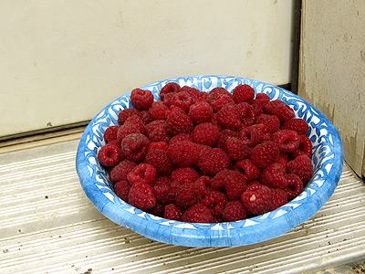 raspberry-manna A bowl of delicious red raspberries!