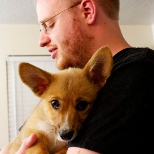 mans-best-friend