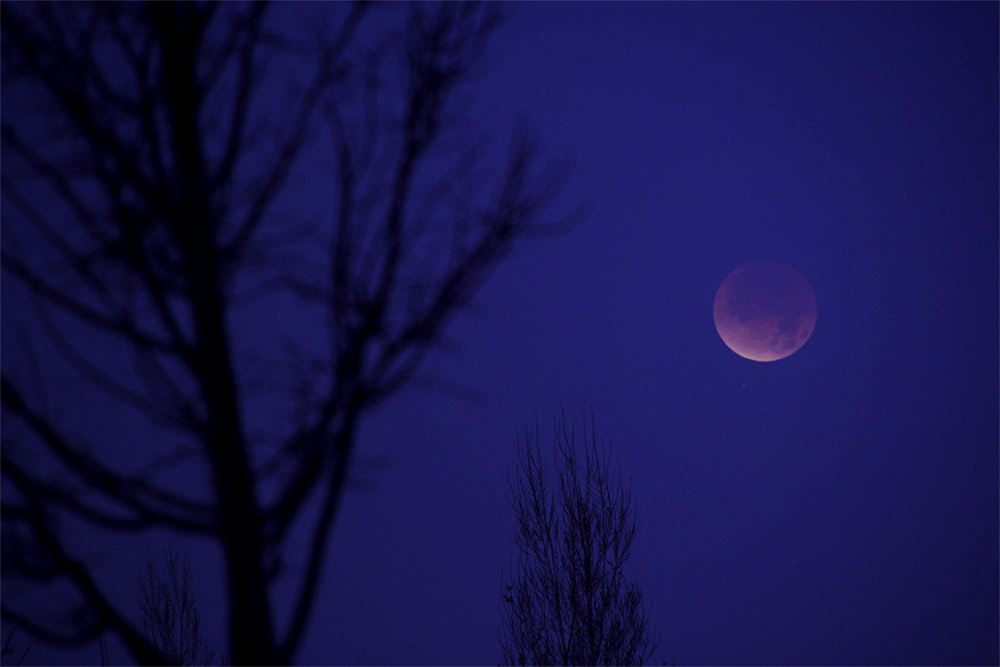 total lunar eclipse