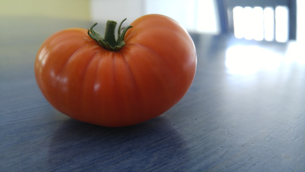 Confused harvest