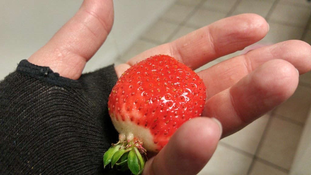 A Gardening Victory