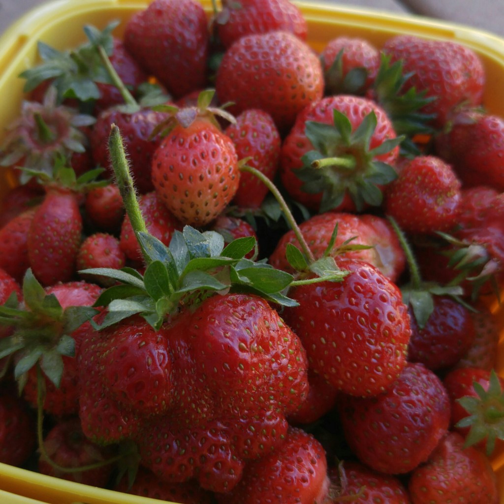 Berry Strange…