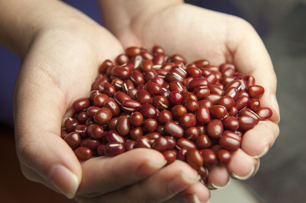 Red Beans &&nbsp;Lentils