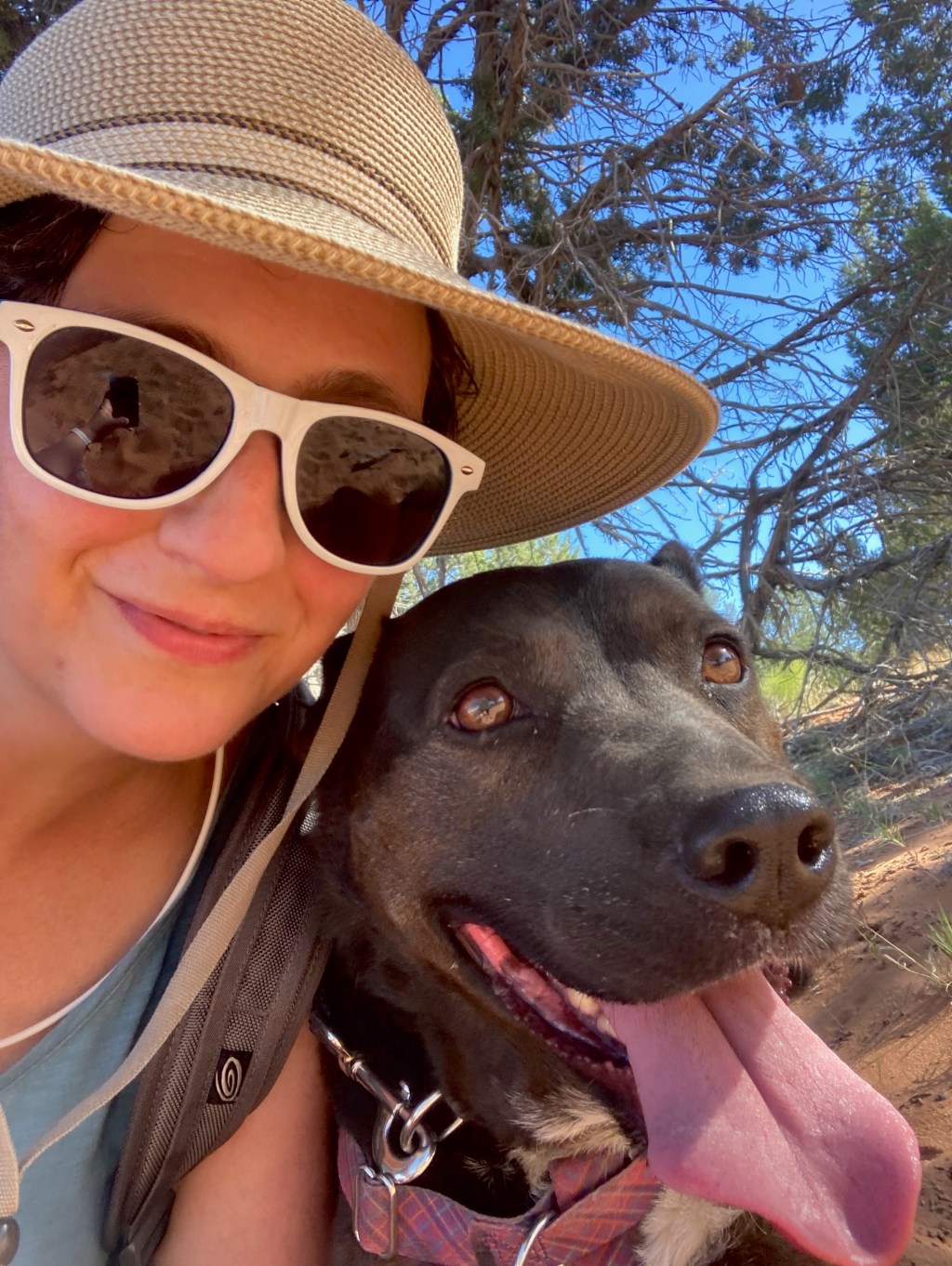 How I met my&nbsp;dog