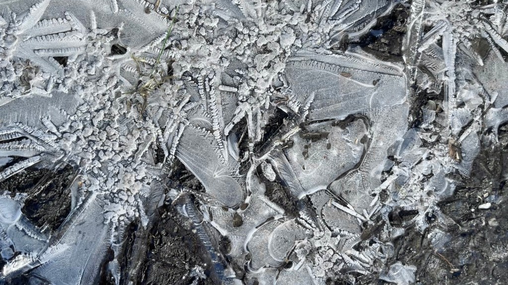 Frost on mud